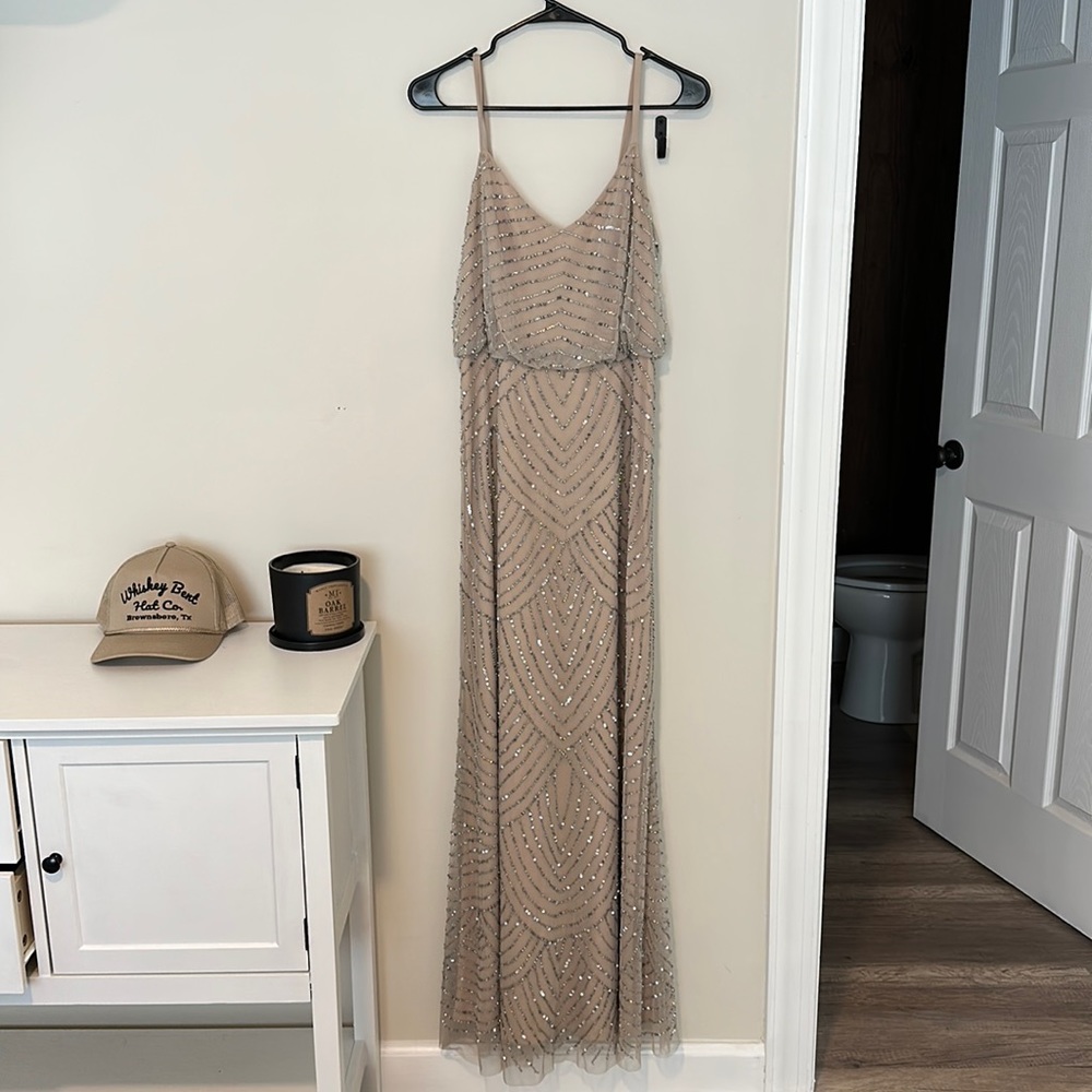 Adrianna Papell Blush Dress